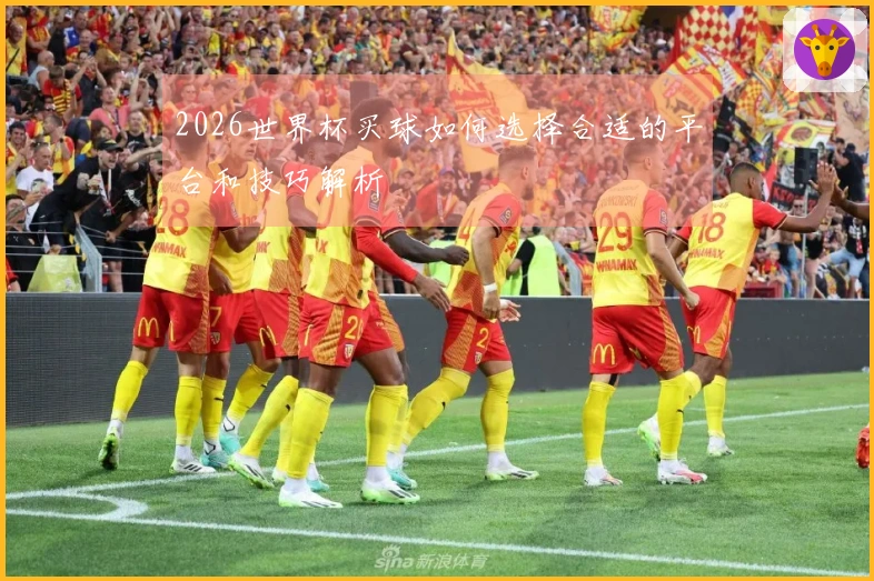 2026世界杯买球如何选择合适的平台和技巧解析