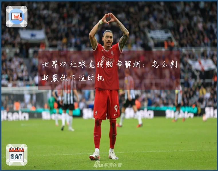 世界杯让球竞猜赔率解析，怎么判断最优下注时机