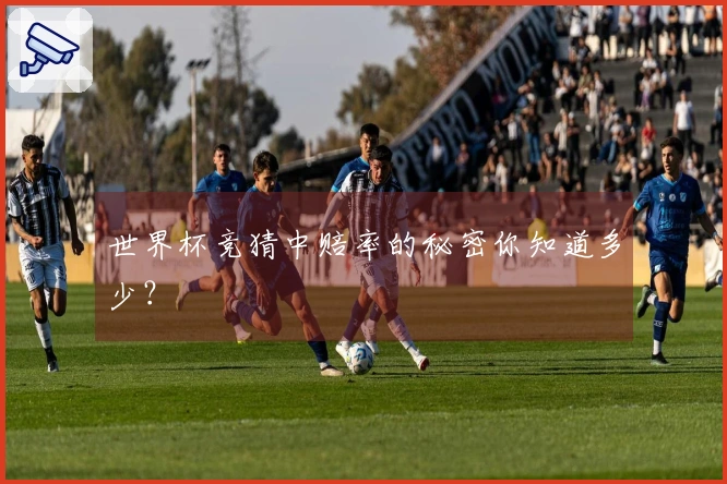 世界杯竞猜中赔率的秘密你知道多少？