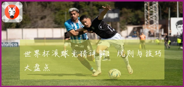 世界杯滚球竞猜详解：规则与技巧大盘点