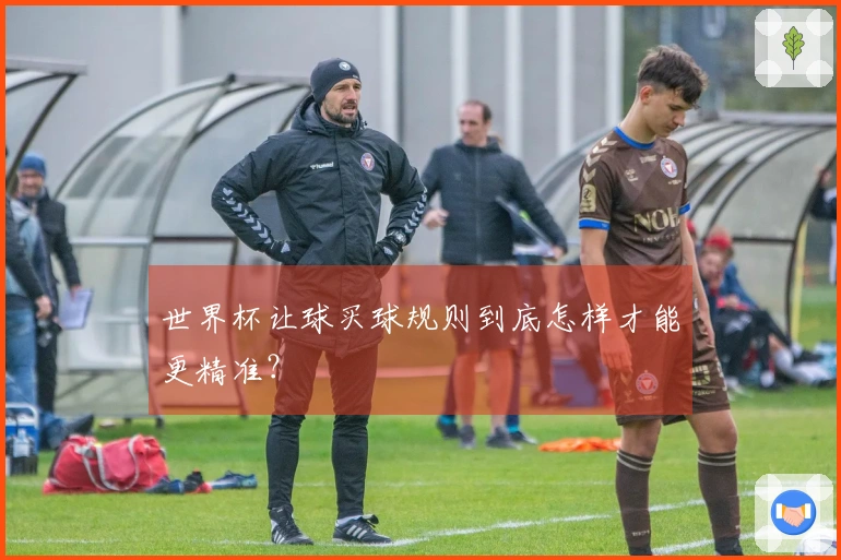 世界杯让球买球规则到底怎样才能更精准？