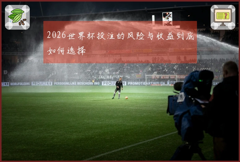 2026世界杯投注的风险与收益到底如何选择