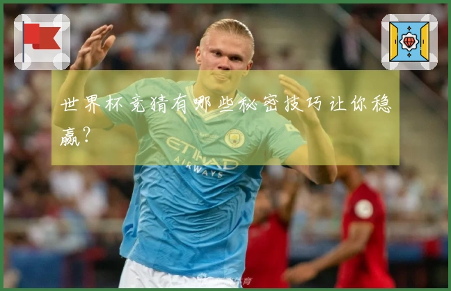 世界杯竞猜有哪些秘密技巧让你稳赢？