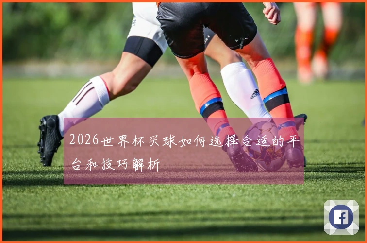 2026世界杯买球如何选择合适的平台和技巧解析