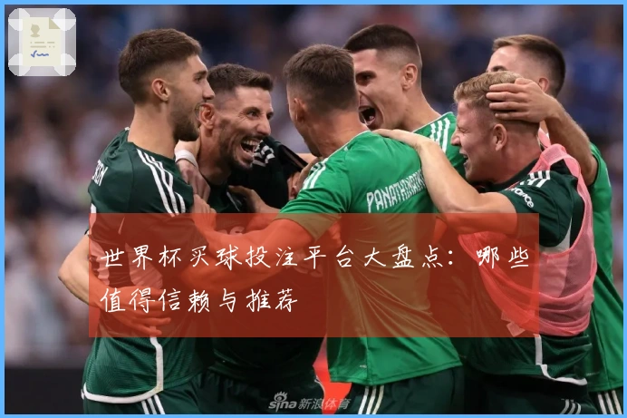 世界杯买球投注平台大盘点：哪些值得信赖与推荐